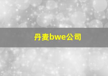 丹麦bwe公司