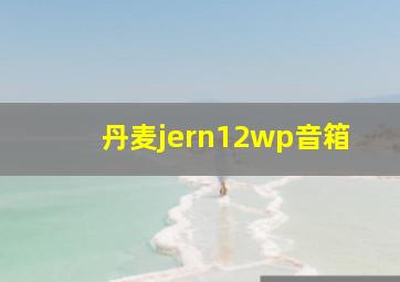 丹麦jern12wp音箱