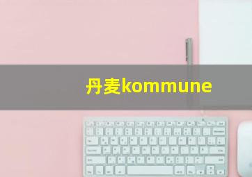 丹麦kommune