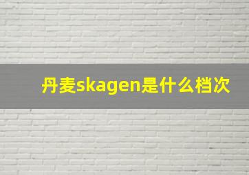 丹麦skagen是什么档次