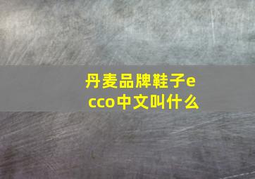 丹麦品牌鞋子ecco中文叫什么