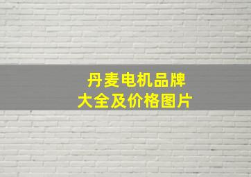 丹麦电机品牌大全及价格图片