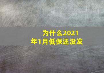 为什么2021年1月低保还没发