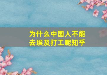 为什么中国人不能去埃及打工呢知乎