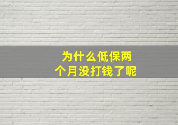 为什么低保两个月没打钱了呢