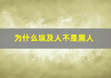 为什么埃及人不是黑人