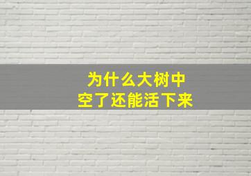 为什么大树中空了还能活下来