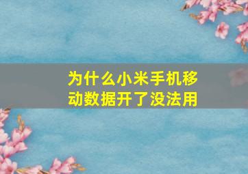 为什么小米手机移动数据开了没法用