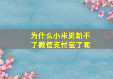 为什么小米更新不了微信支付宝了呢