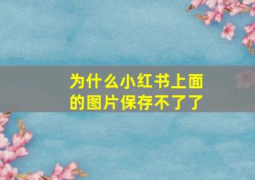 为什么小红书上面的图片保存不了了