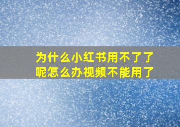 为什么小红书用不了了呢怎么办视频不能用了