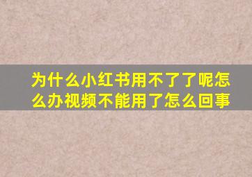 为什么小红书用不了了呢怎么办视频不能用了怎么回事