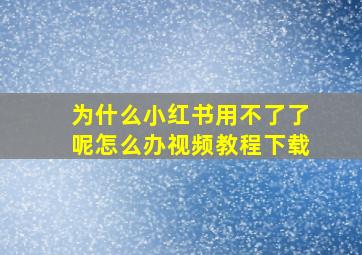 为什么小红书用不了了呢怎么办视频教程下载