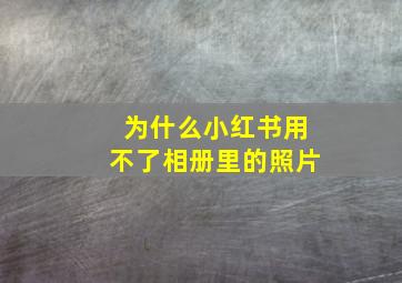 为什么小红书用不了相册里的照片