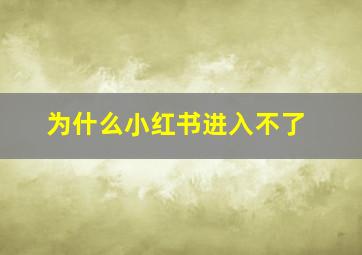 为什么小红书进入不了