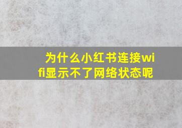 为什么小红书连接wifi显示不了网络状态呢