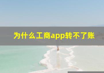 为什么工商app转不了账