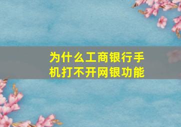 为什么工商银行手机打不开网银功能