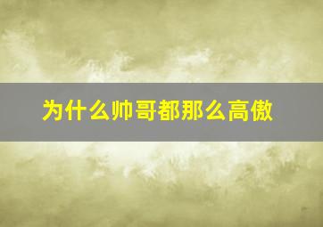 为什么帅哥都那么高傲