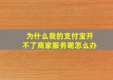 为什么我的支付宝开不了商家服务呢怎么办