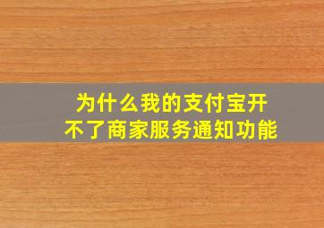 为什么我的支付宝开不了商家服务通知功能