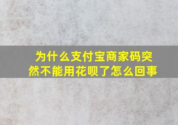 为什么支付宝商家码突然不能用花呗了怎么回事