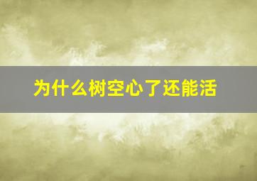 为什么树空心了还能活