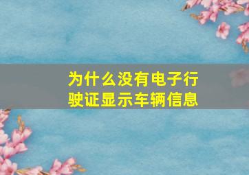 为什么没有电子行驶证显示车辆信息