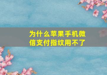 为什么苹果手机微信支付指纹用不了