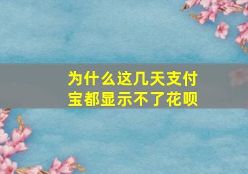 为什么这几天支付宝都显示不了花呗