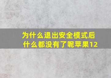 为什么退出安全模式后什么都没有了呢苹果12