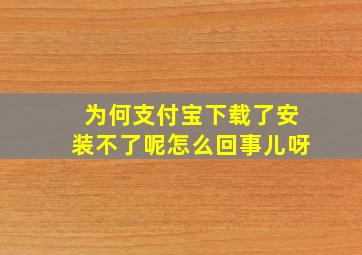 为何支付宝下载了安装不了呢怎么回事儿呀