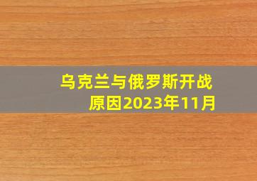 乌克兰与俄罗斯开战原因2023年11月