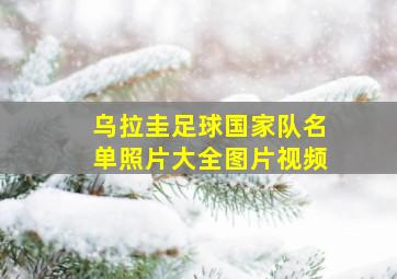 乌拉圭足球国家队名单照片大全图片视频