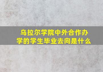 乌拉尔学院中外合作办学的学生毕业去向是什么