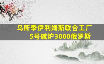 乌斯季伊利姆斯联合工厂5号碱炉3000俄罗斯