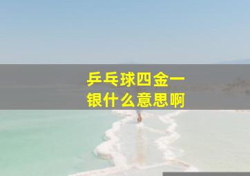 乒乓球四金一银什么意思啊