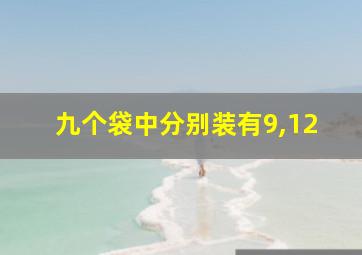 九个袋中分别装有9,12