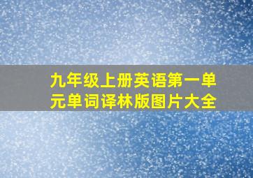 九年级上册英语第一单元单词译林版图片大全