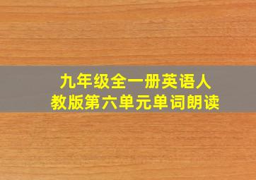 九年级全一册英语人教版第六单元单词朗读