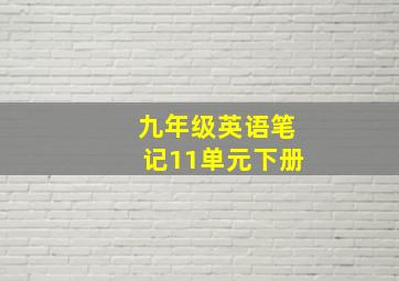 九年级英语笔记11单元下册