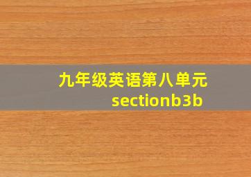 九年级英语第八单元sectionb3b