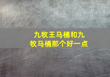 九牧王马桶和九牧马桶那个好一点