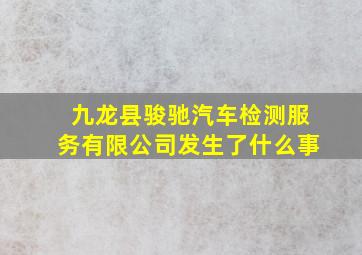 九龙县骏驰汽车检测服务有限公司发生了什么事