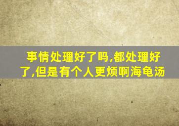 事情处理好了吗,都处理好了,但是有个人更烦啊海龟汤