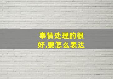 事情处理的很好,要怎么表达