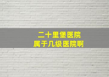 二十里堡医院属于几级医院啊