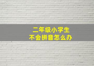 二年级小学生不会拼音怎么办