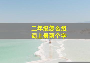 二年级怎么组词上册两个字