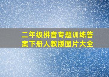 二年级拼音专题训练答案下册人教版图片大全